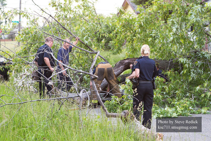 底特律消防员营救被困在树下的男子，史蒂夫·雷迪克拍摄