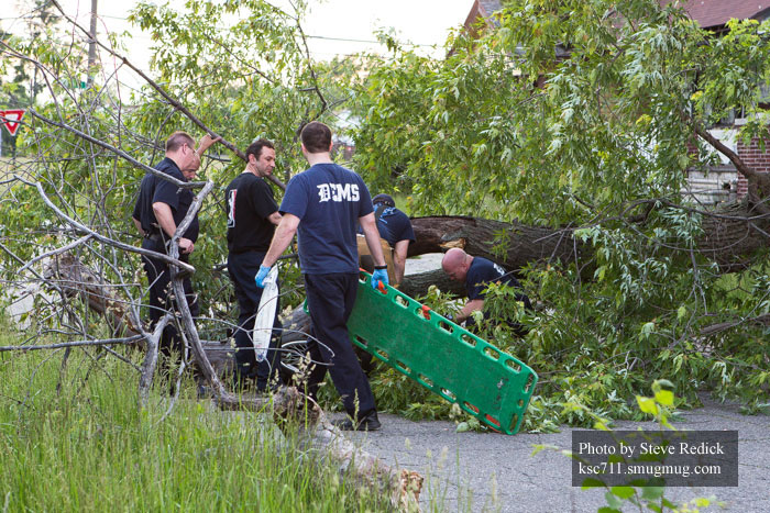 底特律消防员营救被困在树下的男子，史蒂夫·雷迪克拍摄